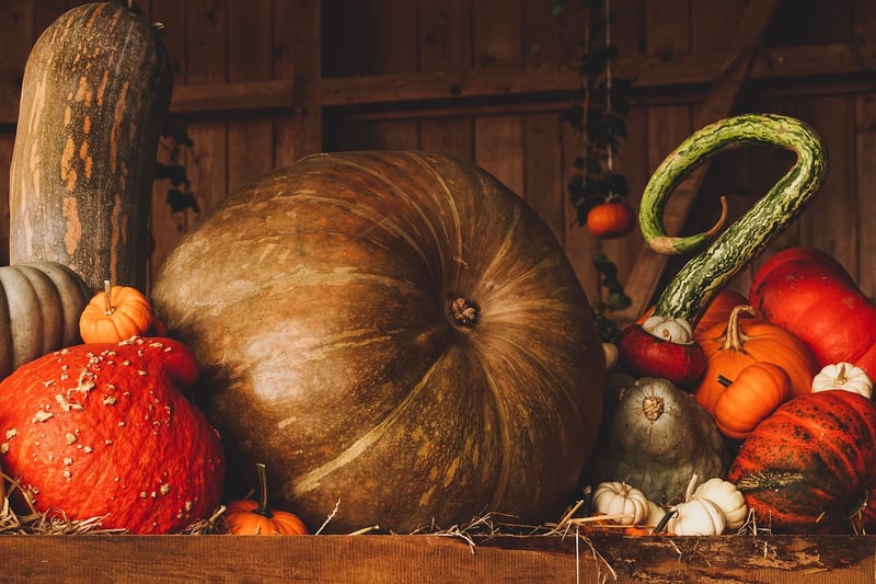 Fall Harvesting