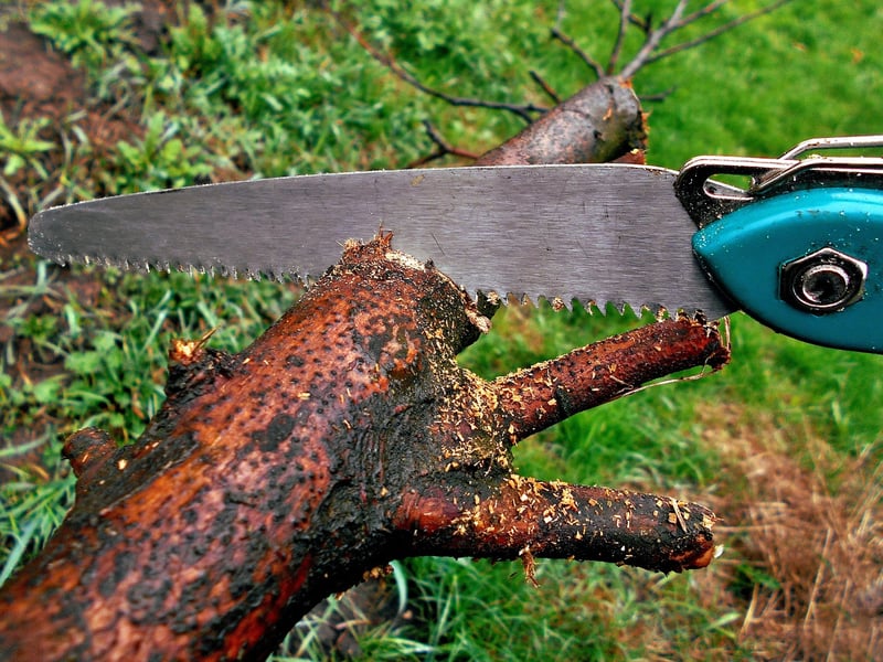 Pruning Methods
