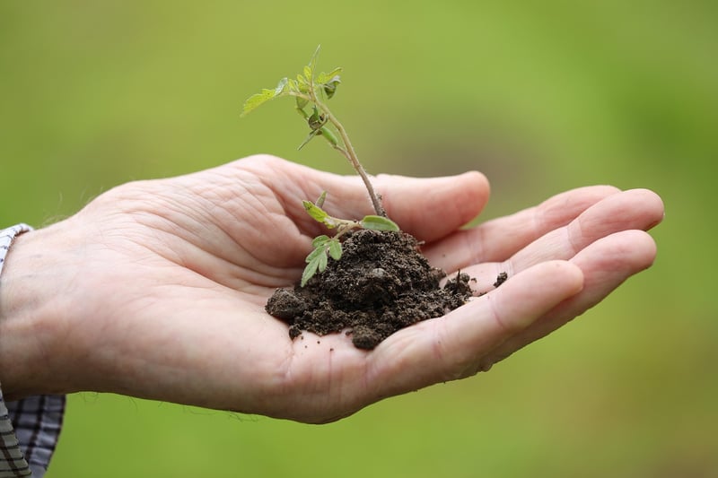 Thinning Plants